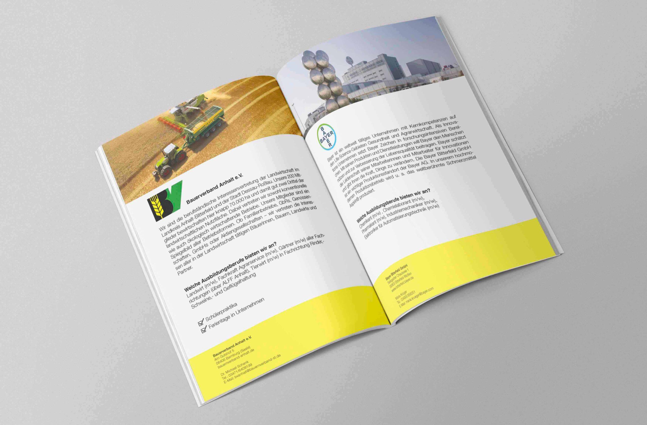 Bildungsmesse | Chemiepark Bitterfeld-Wolfen | Grafikdesign Leipzig. The C/A Studio Bildungsmesse | Chemiepark Bitterfeld-Wolfen | Grafikdesign. Gestaltung Kommunikationsmittel: Flyer, Broschüren, Messeauftritt, Poster, Plakate, Sticker, Werbemittel. Produziert von: Charlie Grashoff - The C/A Studio, Videoproduktion in Leipzig & deutschlandweit. Imagefilme, Corporate Videos, Brandfilme, Eventfilme, Industriefilme, Web- & Grafikdesign & mehr. Grafikdesign Leipzig.