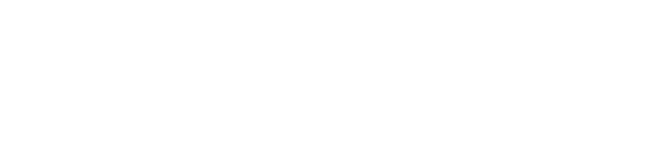 Prof. Roll & Pastuch | Logo