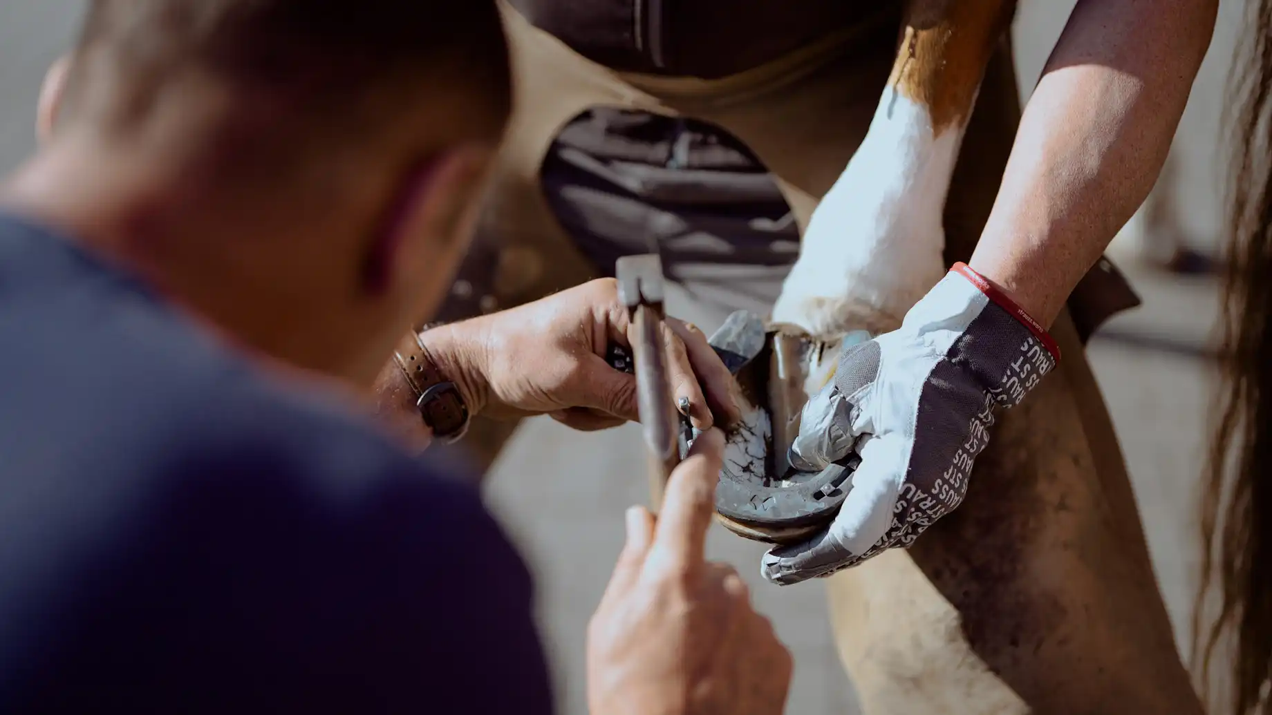 Impressionen / Businessfotografie / Imagefotografie aus der Pferdeklinik Seeburg. Fotografie Halle. Deine professionelle Fotografin für Werbefotografie, Produktfotografie, Businessfotografie, Eventfotografie & mehr. Fotografie Halle & deutschlandweit. The C/A Studio. Fotografie Leipzig. Fotografie Halle. Fotografie Magdeburg. Fotografie Dresden. Businessfotografie Leipzig. Businessfotografie Halle. Businessfotografie Dresden. Businessfotografie Magdeburg. Businessfotograf Leipzig. Businessfotograf Halle.