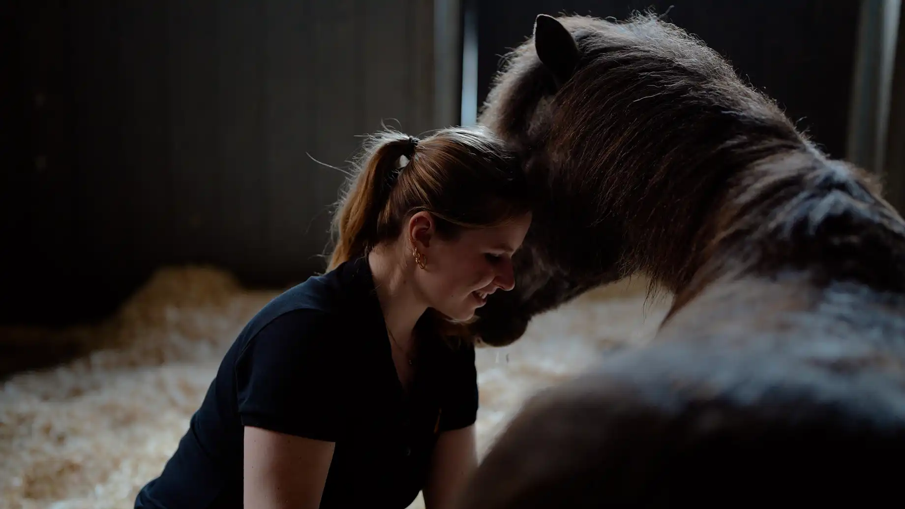 Impressionen / Businessfotografie / Imagefotografie aus der Pferdeklinik Seeburg. Fotografie Halle. Deine professionelle Fotografin für Werbefotografie, Produktfotografie, Businessfotografie, Eventfotografie & mehr. Fotografie Halle & deutschlandweit. The C/A Studio. Fotografie Leipzig. Fotografie Halle. Fotografie Magdeburg. Fotografie Dresden. Businessfotografie Leipzig. Businessfotografie Halle. Businessfotografie Dresden. Businessfotografie Magdeburg. Businessfotograf Leipzig. Businessfotograf Halle.