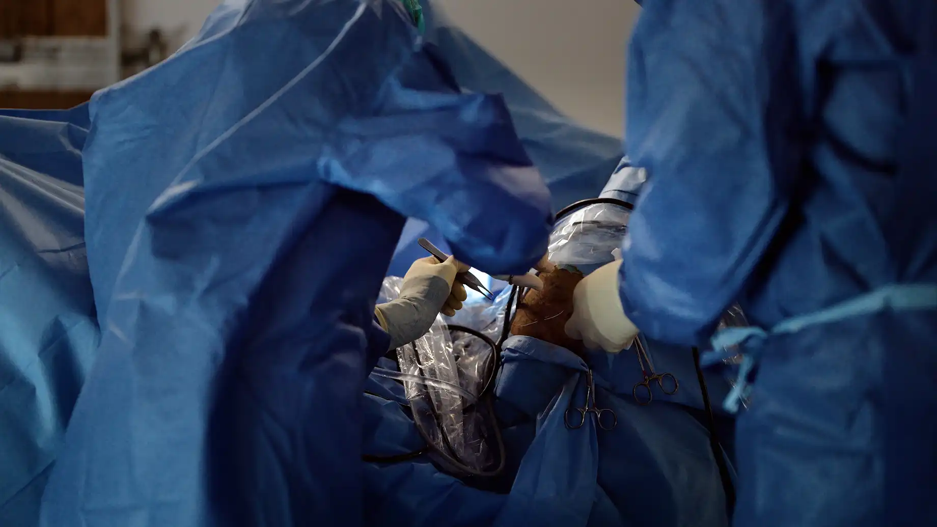 Impressionen / Businessfotografie / Imagefotografie aus der Pferdeklinik Seeburg. Fotografie Halle. Deine professionelle Fotografin für Werbefotografie, Produktfotografie, Businessfotografie, Eventfotografie & mehr. Fotografie Halle & deutschlandweit. The C/A Studio. Fotografie Leipzig. Fotografie Halle. Fotografie Magdeburg. Fotografie Dresden. Businessfotografie Leipzig. Businessfotografie Halle. Businessfotografie Dresden. Businessfotografie Magdeburg. Businessfotograf Leipzig. Businessfotograf Halle.