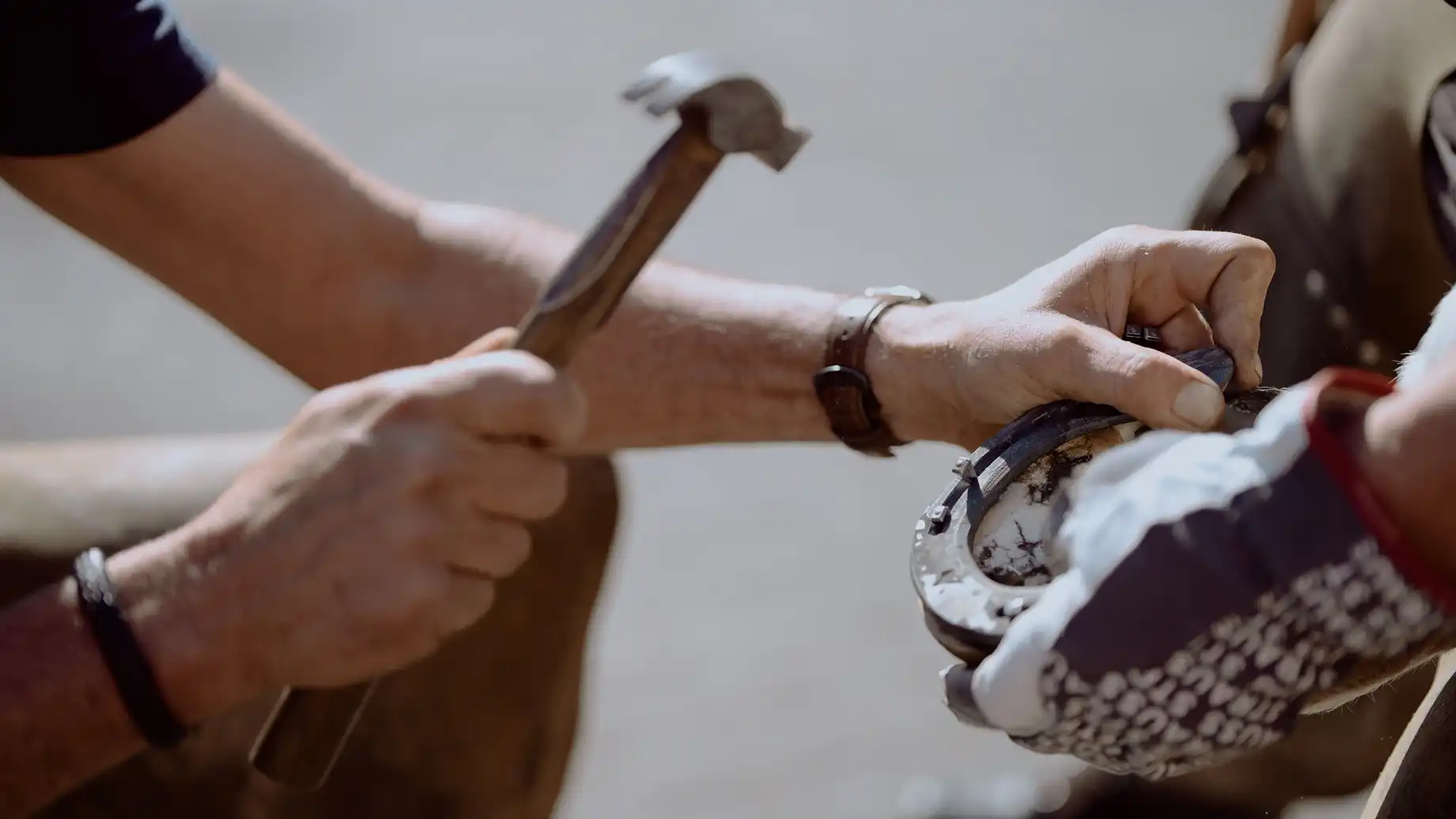 Impressionen / Businessfotografie / Imagefotografie aus der Pferdeklinik Seeburg. Fotografie Halle. Deine professionelle Fotografin für Werbefotografie, Produktfotografie, Businessfotografie, Eventfotografie & mehr. Fotografie Halle & deutschlandweit. The C/A Studio. Fotografie Leipzig. Fotografie Halle. Fotografie Magdeburg. Fotografie Dresden. Businessfotografie Leipzig. Businessfotografie Halle. Businessfotografie Dresden. Businessfotografie Magdeburg. Businessfotograf Leipzig. Businessfotograf Halle.